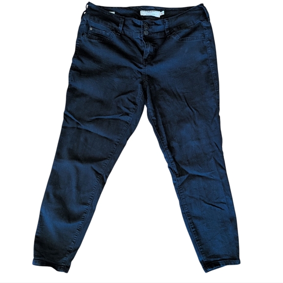 torrid Denim - Torrid Black Jeggings